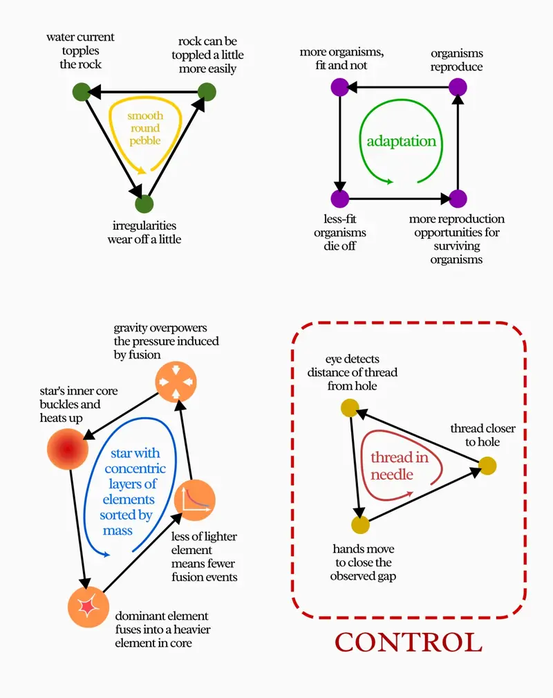 s inner core buckles and heats up", "dominant element fuses into a heavier element in core", "less of lighter element means fewer fusion events", and  with blue "star with concentric layers of elements sorted by mass" arrow in the center. Bottom-right: triangular loop with yellow nodes labeled "eye detects distance of thread from hole", "hands move to close the observed gap", and "thread closer to hole", with red "thread in needle" arrow in the center; only this last one is enclosed in a red dashed border labeled "CONTROL" in large red text.